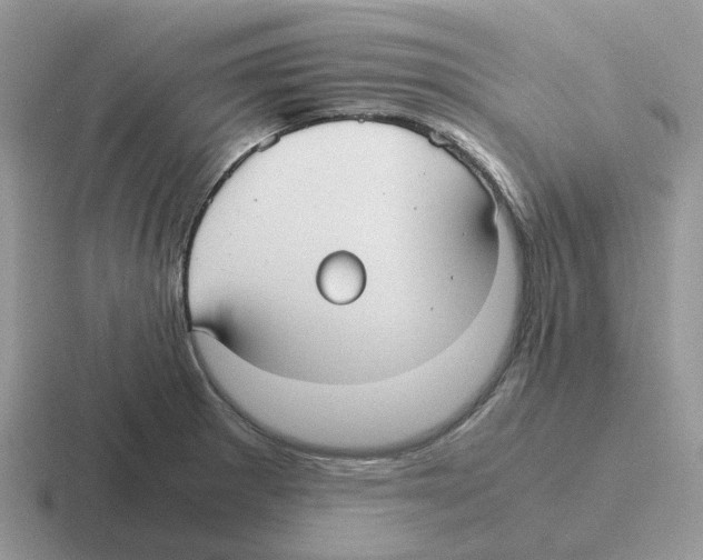 X0000116561281201001071128