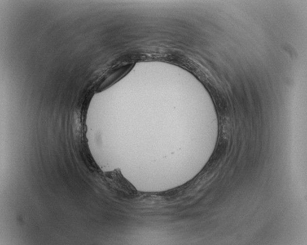 X0000116561298201001071127