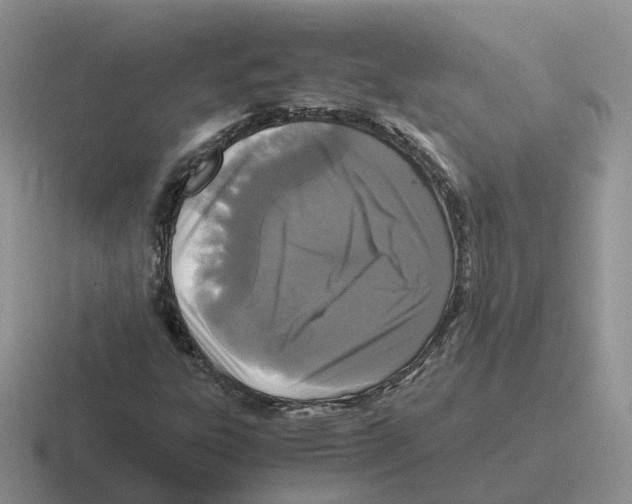 X0000116561303201001071127