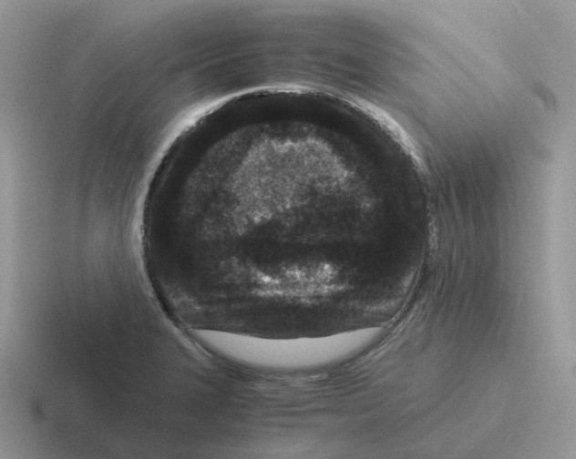 X0000116561327201001071128