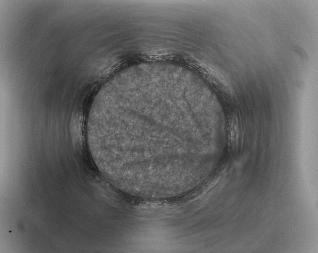 X0000116561346201001071127