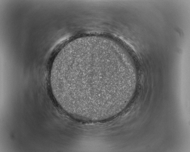 X0000116561351201001071127