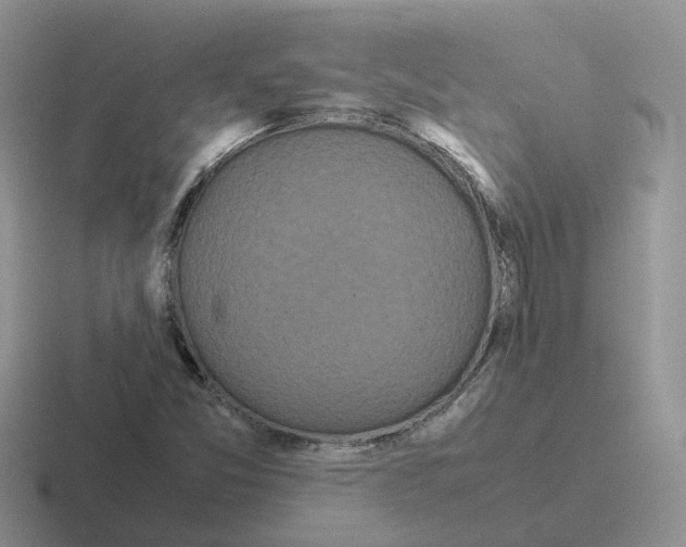 X0000116561357201001071127