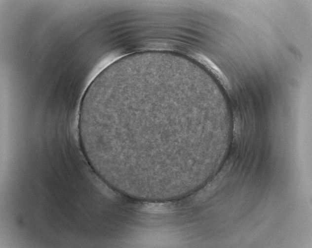 X0000116561378201001071127