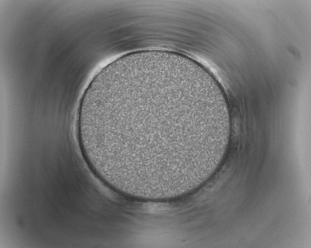 X0000116561379201001071127