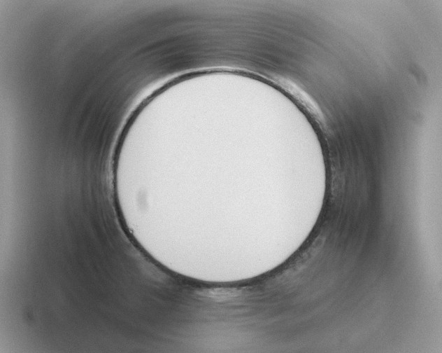X0000116561380201001071127