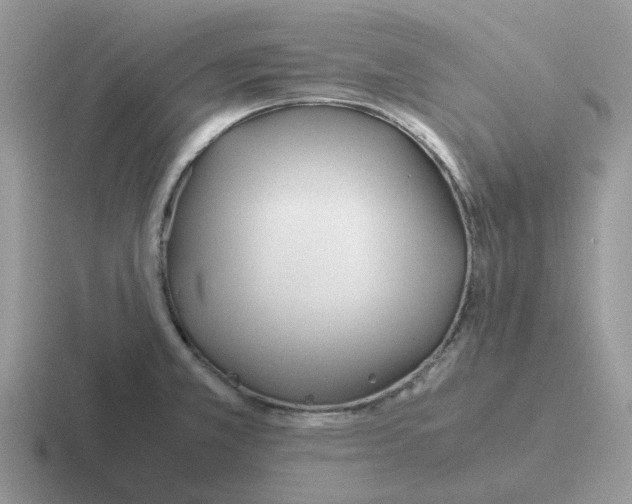 X0000116561381201001071127
