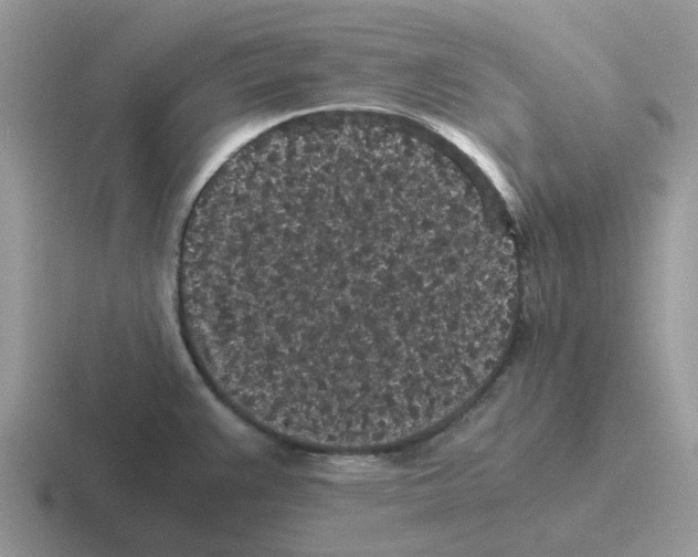X0000116561383201001071127