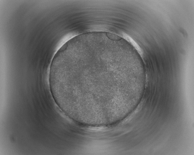 X0000116561386201001071127