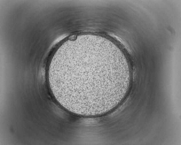 X0000116561402201001071126