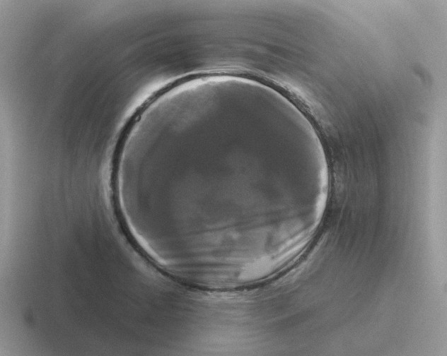X0000116561422201001071126