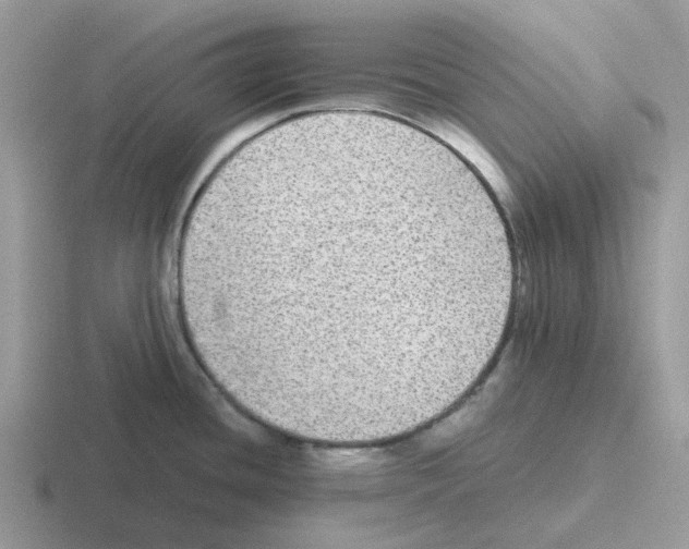 X0000116561436201001071127