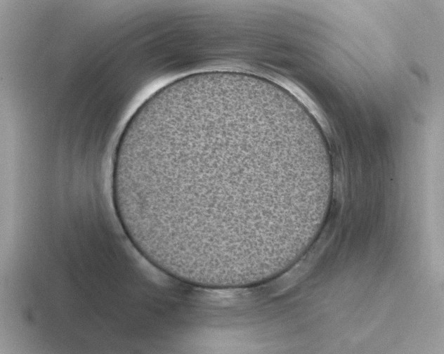 X0000116561438201001071127