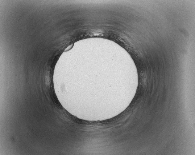 X0000116561442201001071126