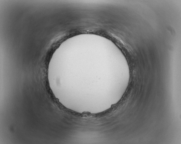 X0000116561447201001071126