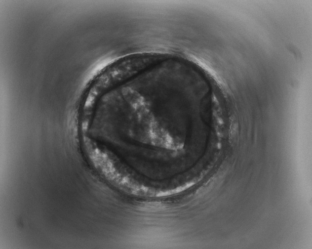 X0000116561455201001071126