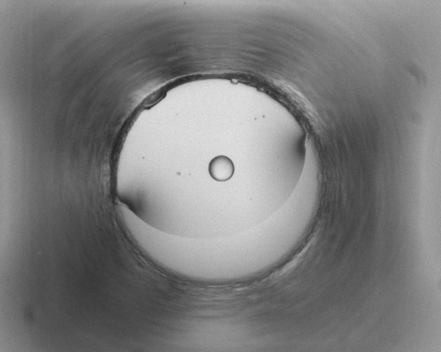 X0000116561457201001071126