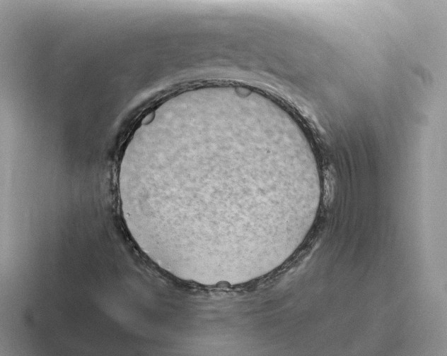 X0000116561494201001071125