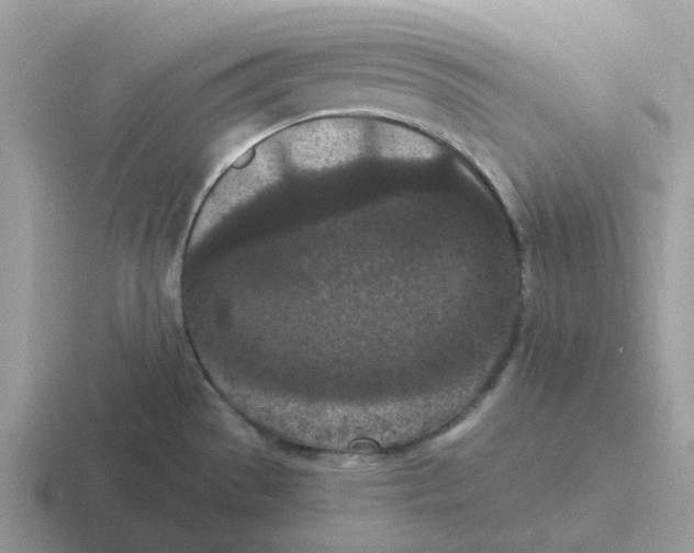 X0000116561529201001071125
