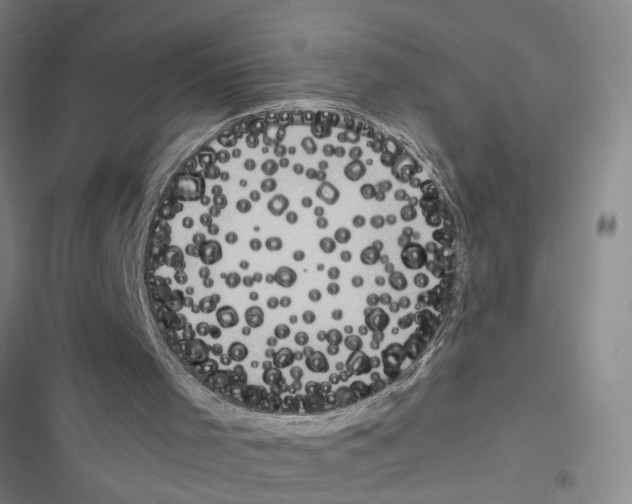 X0000116560001201001211232
