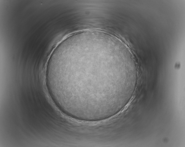X0000116560002201001211232