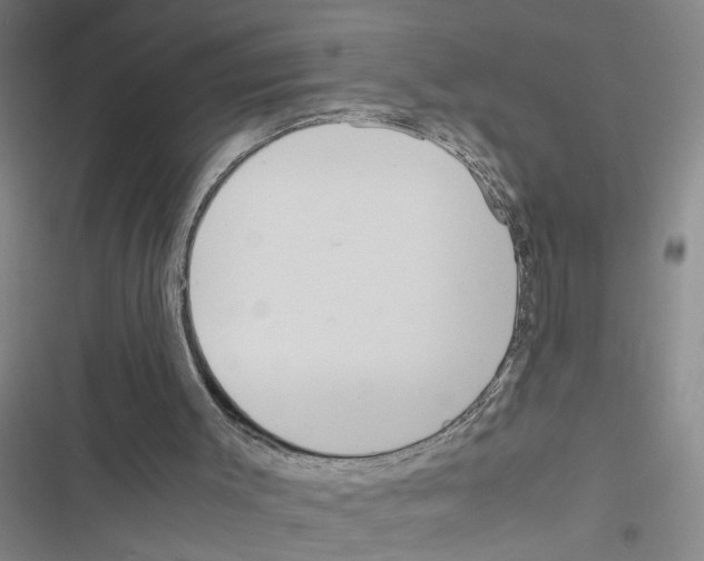 X0000116560003201001211232