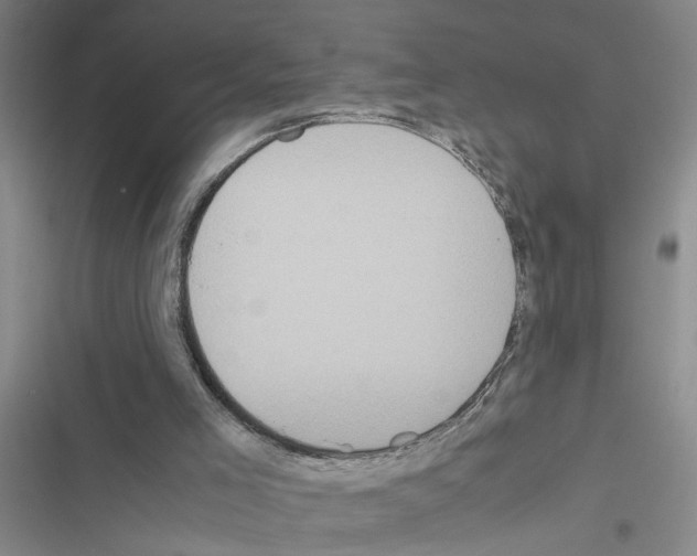 X0000116560005201001211232
