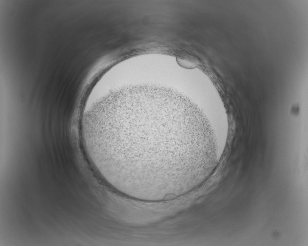 X0000116560006201001211232