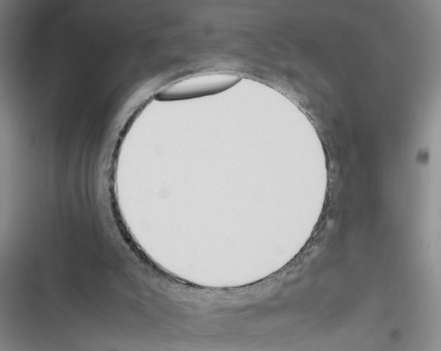 X0000116560007201001211232