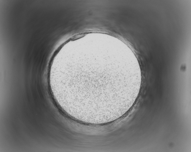 X0000116560008201001211232