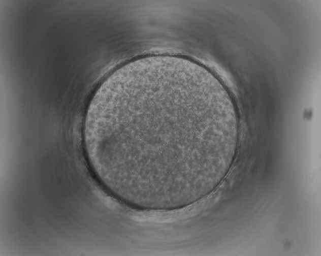 X0000116560009201001211232