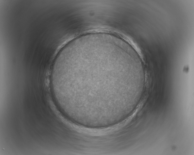 X0000116560010201001211232