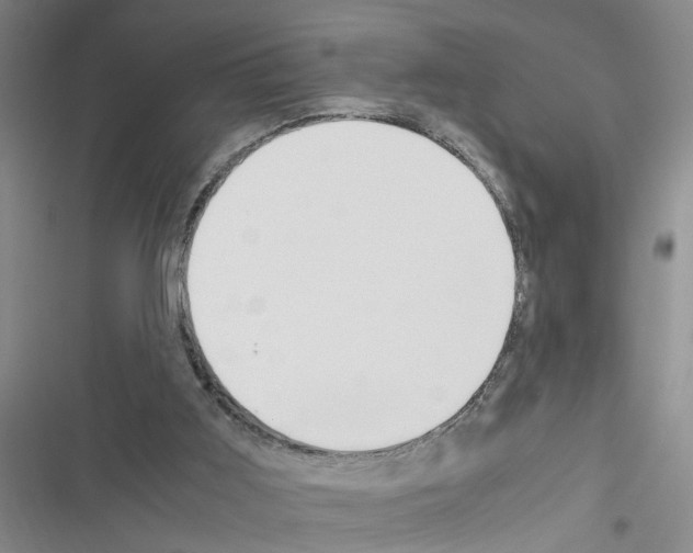 X0000116560011201001211232