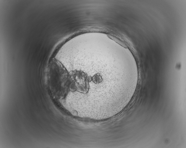 X0000116560012201001211232