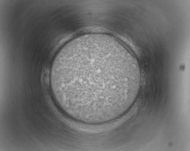 X0000116560014201001211232