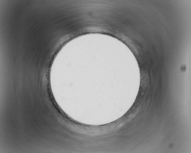 X0000116560015201001211232