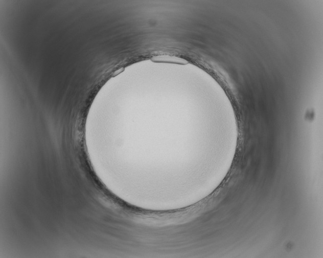 X0000116560017201001211232