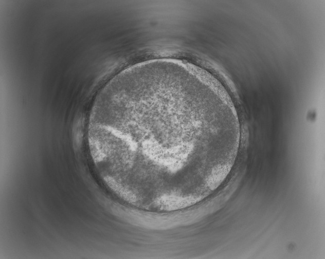 X0000116560018201001211232
