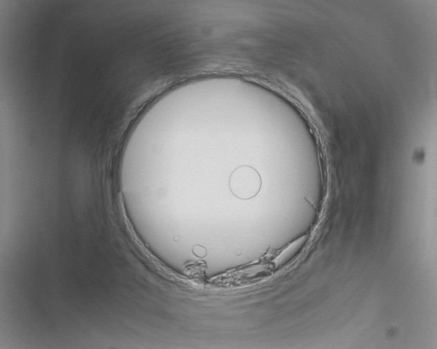 X0000116560019201001211232