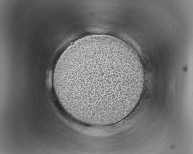 X0000116560020201001211232