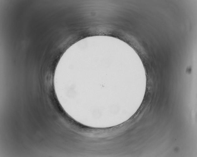 X0000116560021201001211232