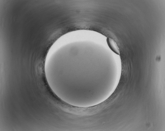 X0000116560023201001211232