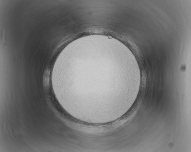 X0000116560024201001211232