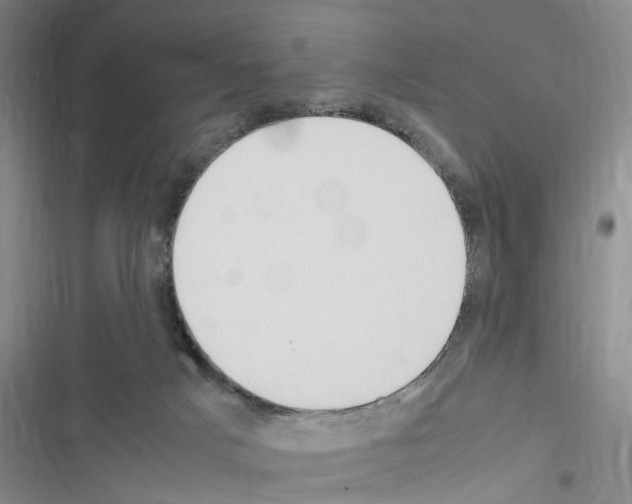 X0000116560025201001211232