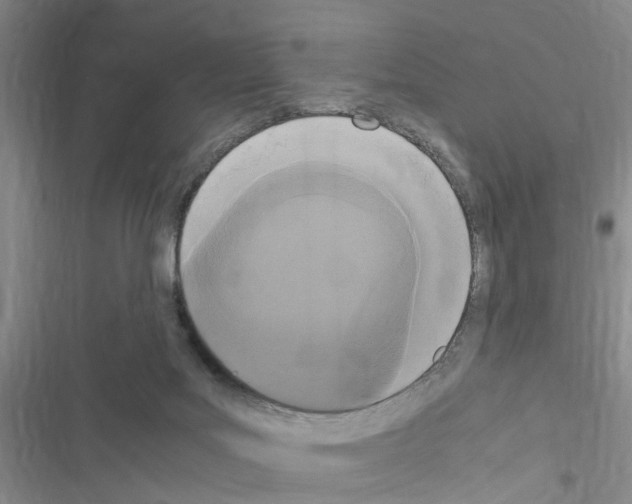 X0000116560027201001211232