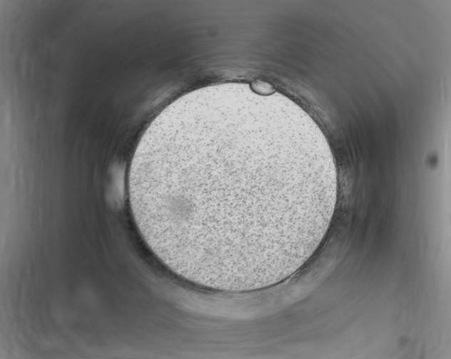X0000116560028201001211232