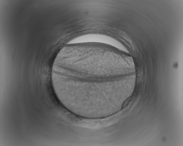 X0000116560029201001211232