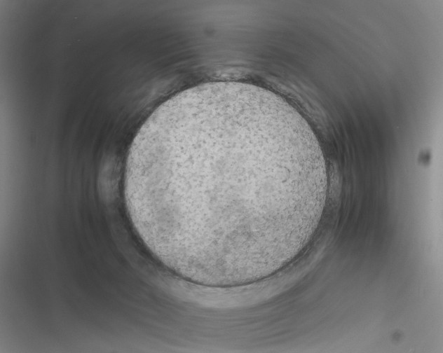 X0000116560030201001211232