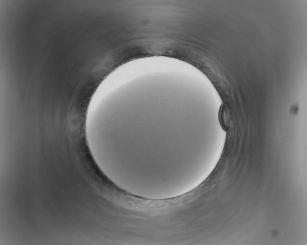 X0000116560031201001211232