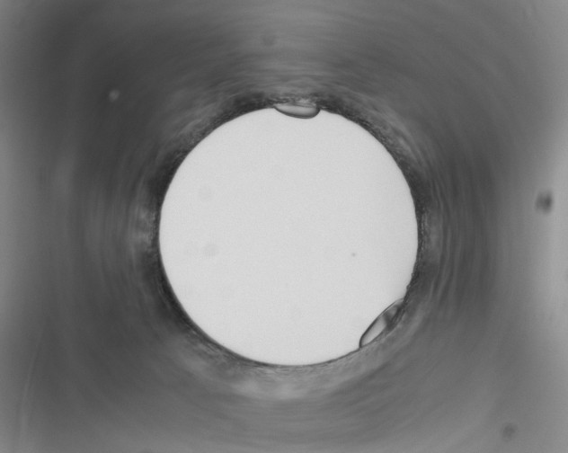 X0000116560033201001211232